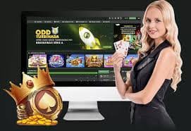 hi889 Live Casino